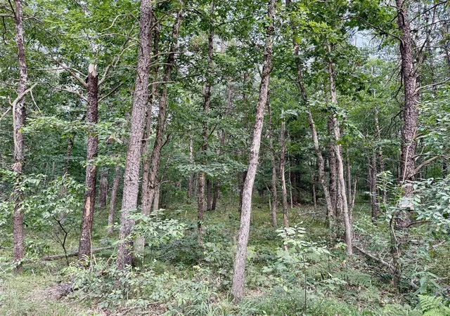 Photo 3 of Land for sale at 2a Steinberg Rd, Manistee, MI 49660 | MLS# 70548423 | Listing updated on 2026-07-27