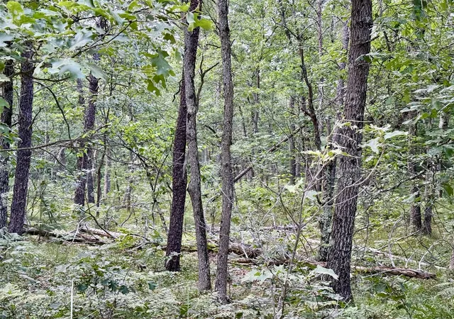 Photo 3 of Land for sale at 2a Steinberg Rd, Manistee, MI 49660 | MLS# 70548423 | Listing updated on 2026-07-27