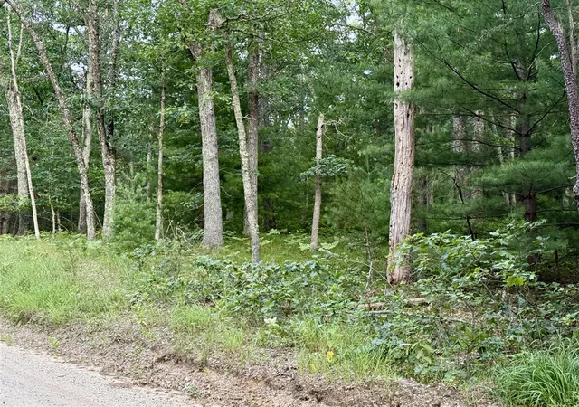 Photo 4 of Land for sale at 2a Steinberg Rd, Manistee, MI 49660 | MLS# 70548423 | Listing updated on 2026-07-27