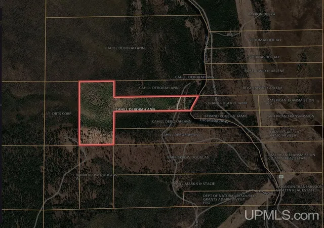 Homes for sale in Gwinn, MI | 31 Acres On Bobs Creek Truck Trl, Gwinn, MI 49841 | MLS# 50212855