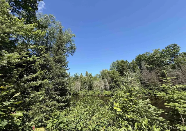 Homes for sale in Gwinn, MI | 31 Acres On Bobs Creek Truck Trl, Gwinn, MI 49841 | MLS# 50212855