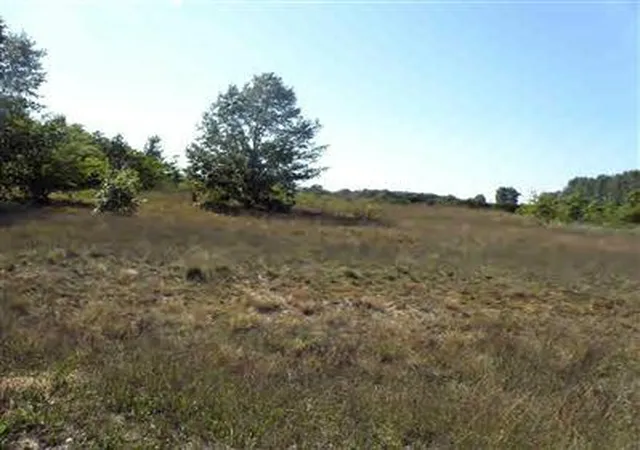 Photo 1 of Sale Pending at (Undisclosed), New Era, MI 49446 | MLS# 70098575 | Listing updated on 2019-04-17