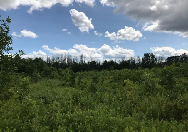 Homes for sale in Cedar Springs, MI | 5312 18 Mile Rd, Cedar Springs, MI 49319 | MLS# 70512493