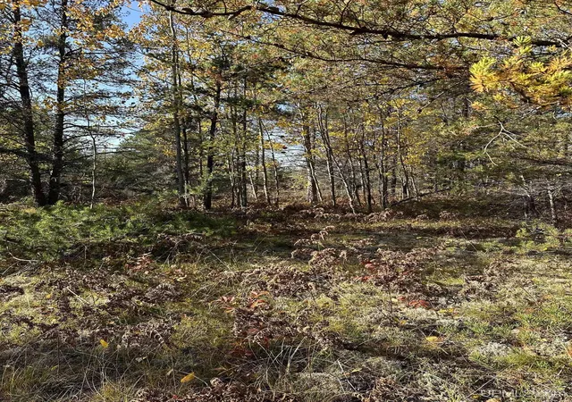 Photo 4 of Land for sale at 110 N Marshall Dr, Gwinn, MI 49841 | MLS# 50218127 | Listing updated on 2026-08-11