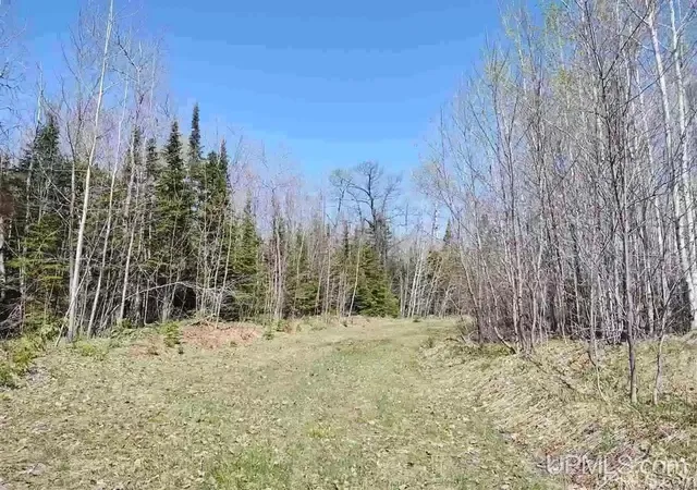 Photo 1 of Land for sale at Tbd Woodspur Rd, Ontonagon, MI 49953 | MLS# 50217973 | Listing updated on 2026-08-31