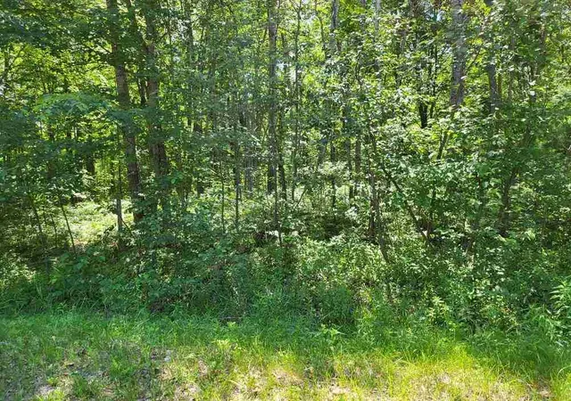Photo 2 of Land for sale at Lot 69 Pineway Dr, Gladwin, MI 48624 | MLS# 50198649 | Listing updated on 2026-08-03