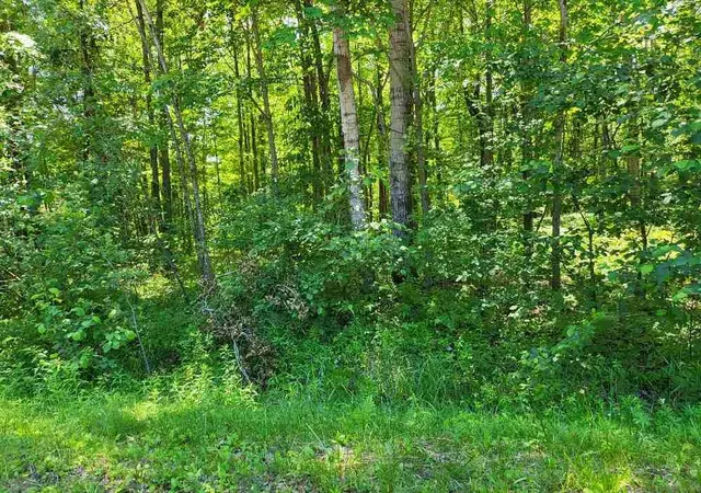 Photo 3 of Land for sale at Lot 69 Pineway Dr, Gladwin, MI 48624 | MLS# 50198649 | Listing updated on 2026-08-03