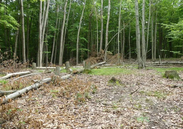 Photo 3 of Land for sale at 9310 S Benjamin Dr, Newaygo, MI 49337 | MLS# 70551701 | Listing updated on 2026-09-14