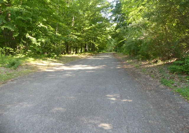 9th image of 9310 S Benjamin Dr, Newaygo, MI 49337 | MLS# 70551701