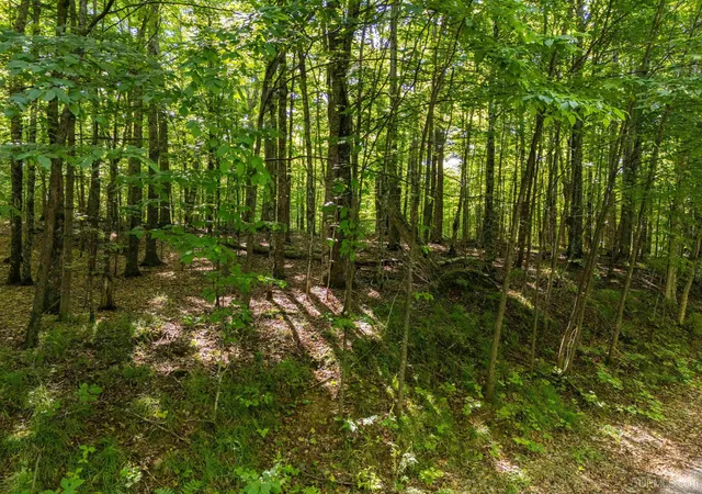 Photo 4 of Land for sale at Lot 6 Smoky Lake Dr, Iron River, MI 49935 | MLS# 50217497 | Listing updated on 2026-08-11