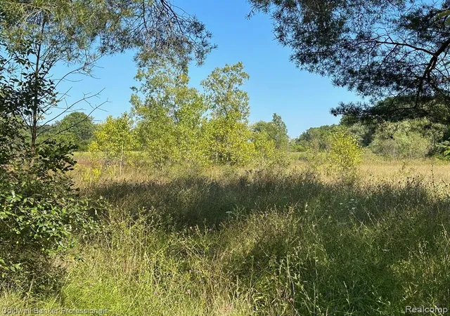 1st image of 1001 S Vassar Rd, Davison, MI 48423 | MLS# 60998675
