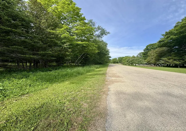 Homes for sale in Cornell, MI | Tbd River J5 Parcel B Rd, Cornell, MI 49818 | MLS# 50212088