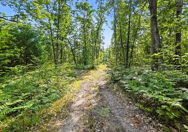 32nd image of 12577 N Mundy Ave, Bitely, MI 49309 | MLS# 70549683