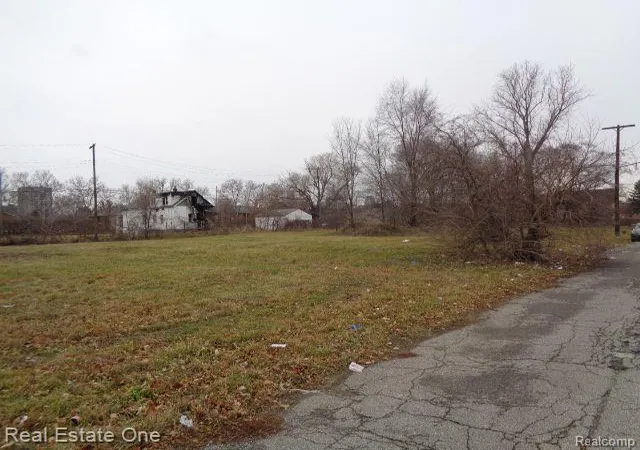 3rd image of 2706 Hendricks St, Detroit, MI 48207 | MLS# 60182660