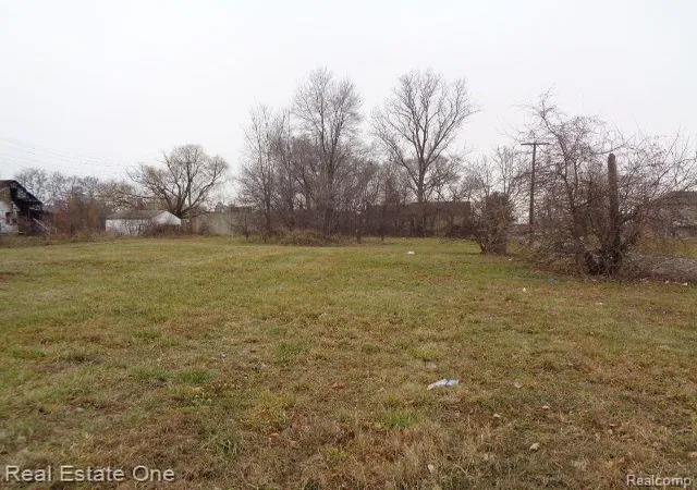 4th image of 2706 Hendricks St, Detroit, MI 48207 | MLS# 60182660