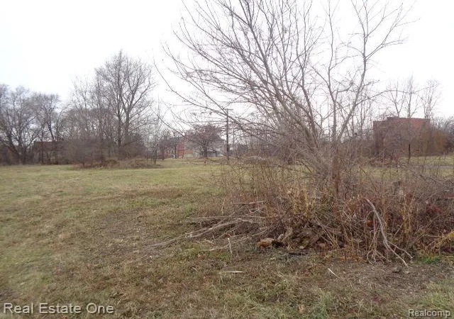 5th image of 2706 Hendricks St, Detroit, MI 48207 | MLS# 60182660