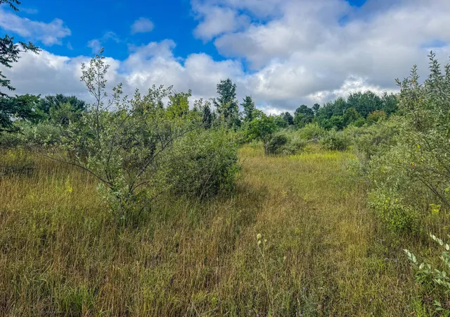 Photo 3 of Land for sale at Parcel 4 E Darga Rd, Cedar, MI 49621 | MLS# 80072924 | Listing updated on 2026-08-30