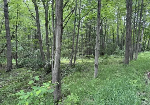 Photo 1 of Land for sale at 142 Hills Cir, Le Roy, MI 49655 | MLS# 70546900 | Listing updated on 2026-07-20