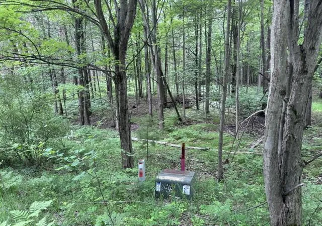 Photo 2 of Land for sale at 142 Hills Cir, Le Roy, MI 49655 | MLS# 70546900 | Listing updated on 2026-07-20