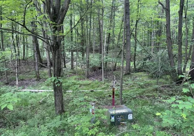 Photo 3 of Land for sale at 142 Hills Cir, Le Roy, MI 49655 | MLS# 70546900 | Listing updated on 2026-07-20