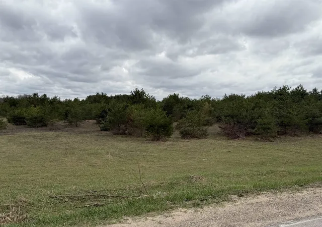 Photo 4 of Land for sale at Lot E Sparling Rd, Kingsley, MI 49649 | MLS# 80066849 | Listing updated on 2026-09-24