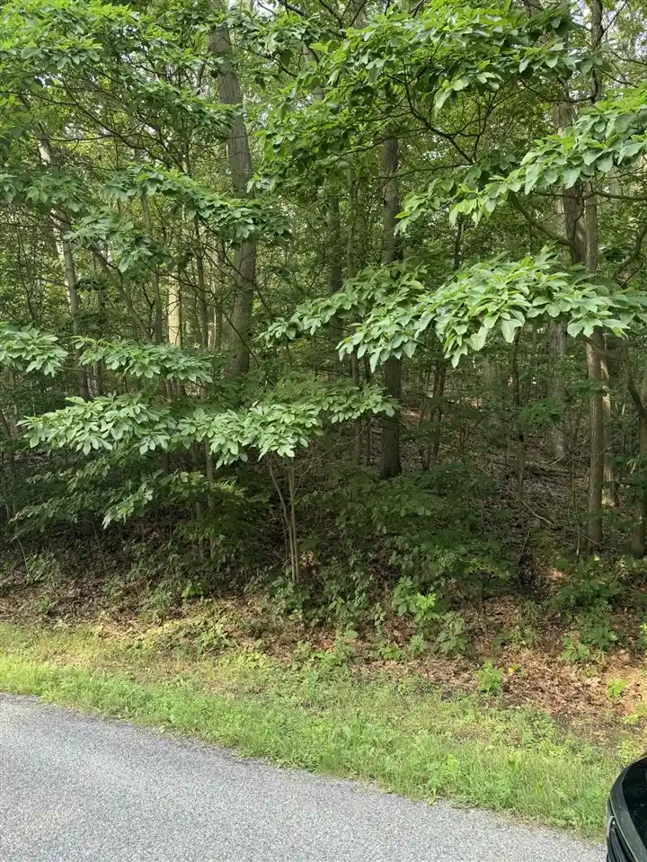 Photo 1 of Land for sale at Wildwood Dr, West Olive, MI 49460 | MLS# 70551999 | Listing updated on 2026-10-22