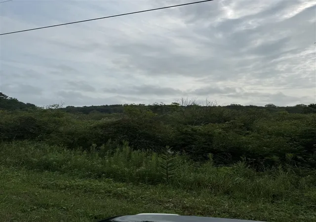 Photo 4 of Land for sale at Wildwood Dr, West Olive, MI 49460 | MLS# 70551999 | Listing updated on 2026-08-13