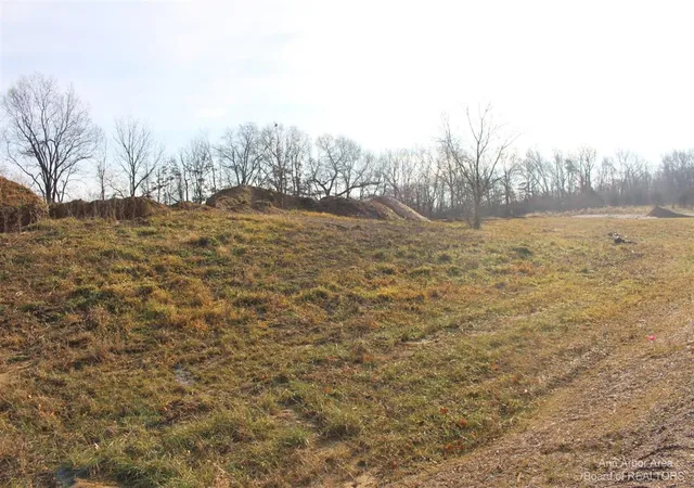 Photo 1 of Land for sale at 0 Lindsey Unit 22 Dr, Jackson, MI 49201 | MLS# 70378287 | Listing updated on 2026-01-26