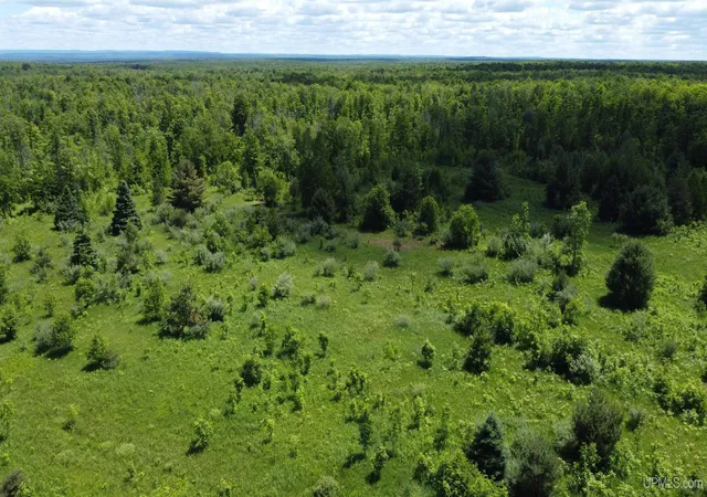 1st image of 23171 Seppanen Rd, Nisula, MI 49952 | MLS# 50213627
