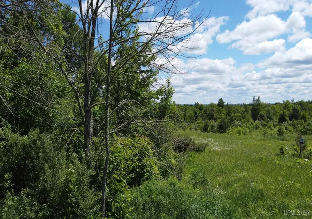 3rd image of 23171 Seppanen Rd, Nisula, MI 49952 | MLS# 50213627