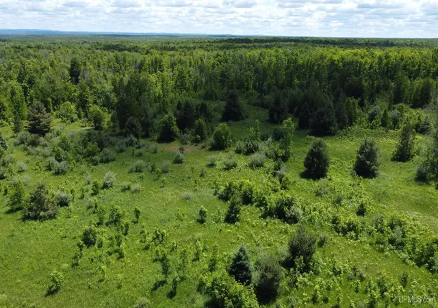 4th image of 23171 Seppanen Rd, Nisula, MI 49952 | MLS# 50213627