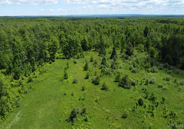 5th image of 23171 Seppanen Rd, Nisula, MI 49952 | MLS# 50213627