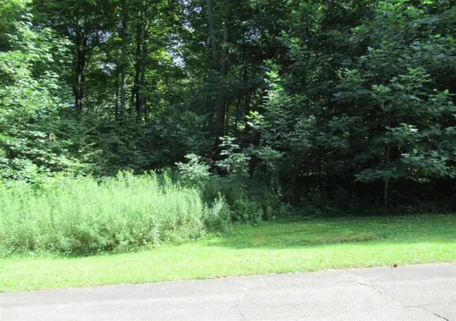 Homes for sale in Cassopolis, MI | Tract 4 Deep Woods Dr, Cassopolis, MI 49031 | MLS# 70509252