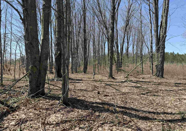 Homes for sale in Thompsonville, MI | 00 Landis Rd, Thompsonville, MI 49683 | MLS# 80066286
