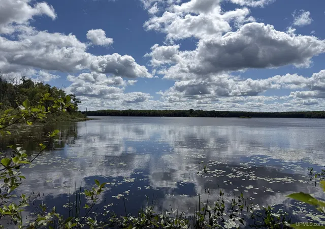 Photo 1 of Land for sale at E5008 Langford Lake Rd, Watersmeet, MI 49969 | MLS# 50218088 | Listing updated on 2026-10-07