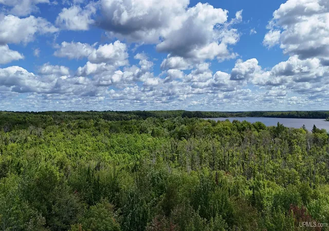 Photo 2 of Land for sale at E5008 Langford Lake Rd, Watersmeet, MI 49969 | MLS# 50218088 | Listing updated on 2026-10-07