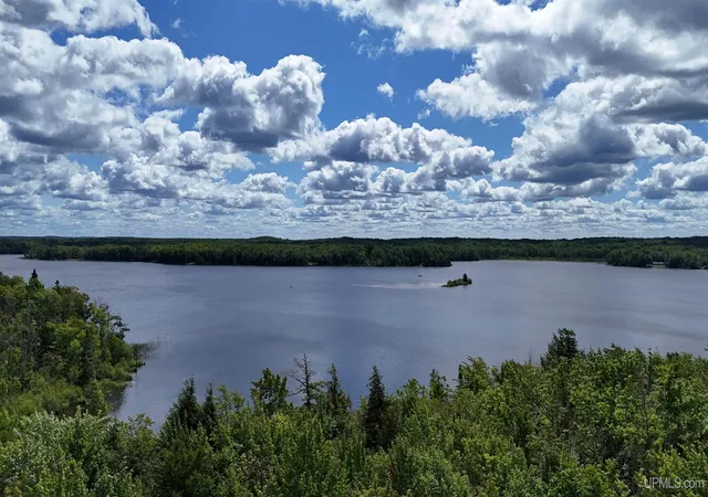 Photo 3 of Land for sale at E5008 Langford Lake Rd, Watersmeet, MI 49969 | MLS# 50218088 | Listing updated on 2026-10-07