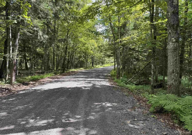 Photo 3 of Land for sale at E5008 Langford Lake Rd, Watersmeet, MI 49969 | MLS# 50218088 | Listing updated on 2026-10-07
