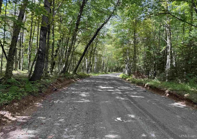 Photo 4 of Land for sale at E5008 Langford Lake Rd, Watersmeet, MI 49969 | MLS# 50218088 | Listing updated on 2026-10-07