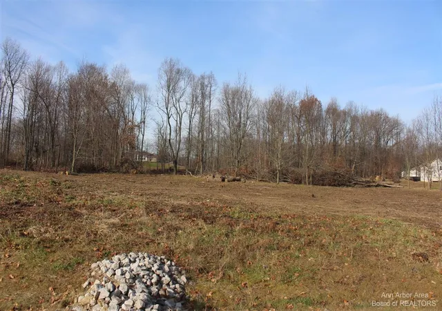 Photo 1 of Land for sale at 0 Lindsey Unit 19 Dr, Jackson, MI 49201 | MLS# 70378887 | Listing updated on 2026-01-26