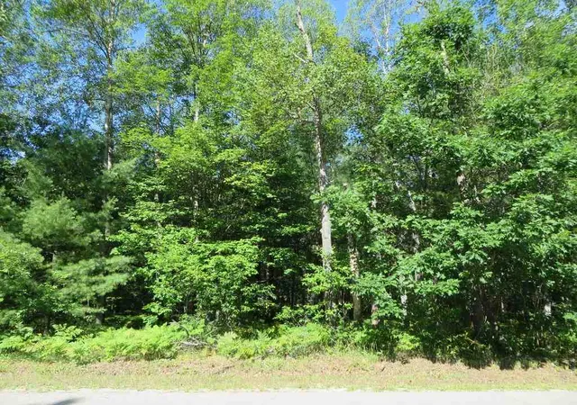 2nd image of 2065 E Log Lake Rd, Kalkaska, MI 49646 | MLS# 80072482