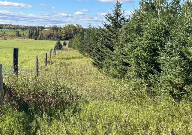91st image of 9964 E M 48, Goetzville, MI 49736 | MLS# 70499609