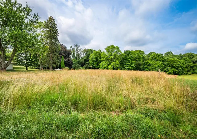 Land for sale at 0 Mt Zion Rd, Galien, MI 49113 | MLS# 70543898
