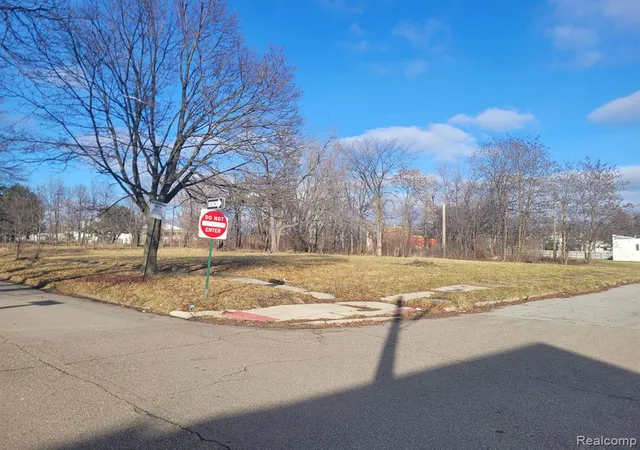 Photo 4 of Land for sale at 1944 Putnam St, Detroit, MI 48208 | MLS# 60287995 | Listing updated on 2026-10-05