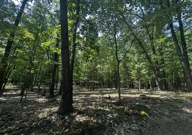 Land for sale at 00 Vl Deer Trl, Irons, MI 49644 | MLS# 70549020