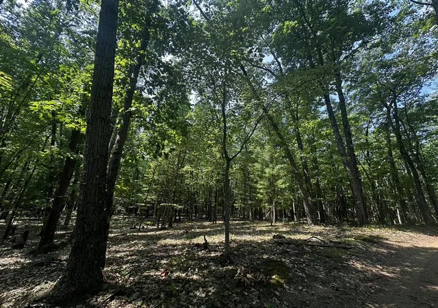 Photo 1 of Land for sale at 00 Vl Deer Trl, Irons, MI 49644 | MLS# 70549020 | Listing updated on 2026-07-30