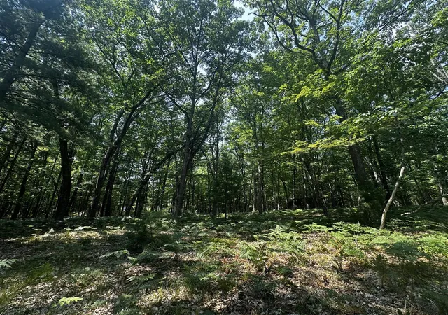 Photo 2 of Land for sale at 00 Vl Deer Trl, Irons, MI 49644 | MLS# 70549020 | Listing updated on 2026-07-30