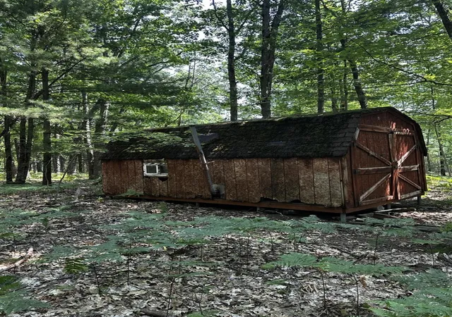 Photo 3 of Land for sale at 00 Vl Deer Trl, Irons, MI 49644 | MLS# 70549020 | Listing updated on 2026-07-30