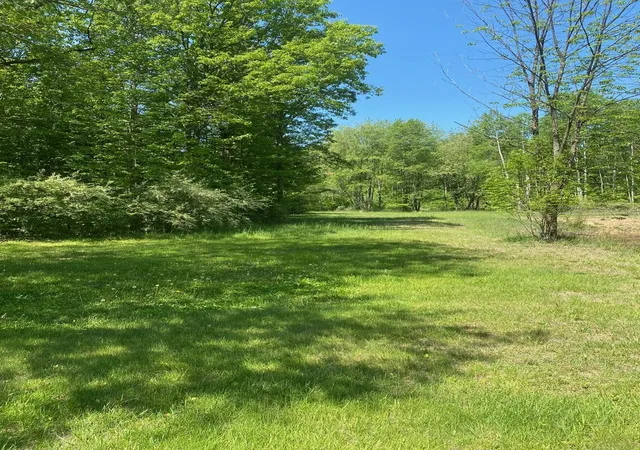 5th image of 3302 W Dana Rd, Coleman, MI 48618 | MLS# 50204067