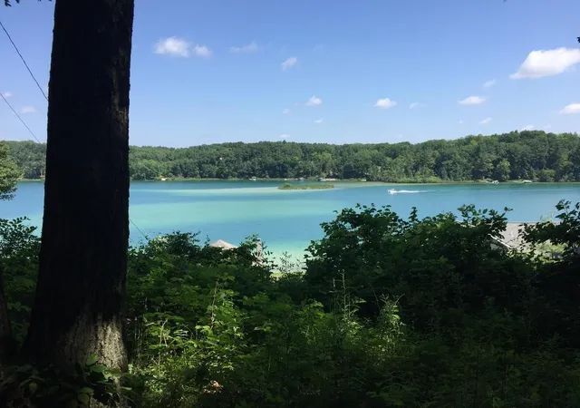 Land for sale at 371 Burgess Lake Rd, Greenville, MI 48838-9409 | MLS# 70511857
